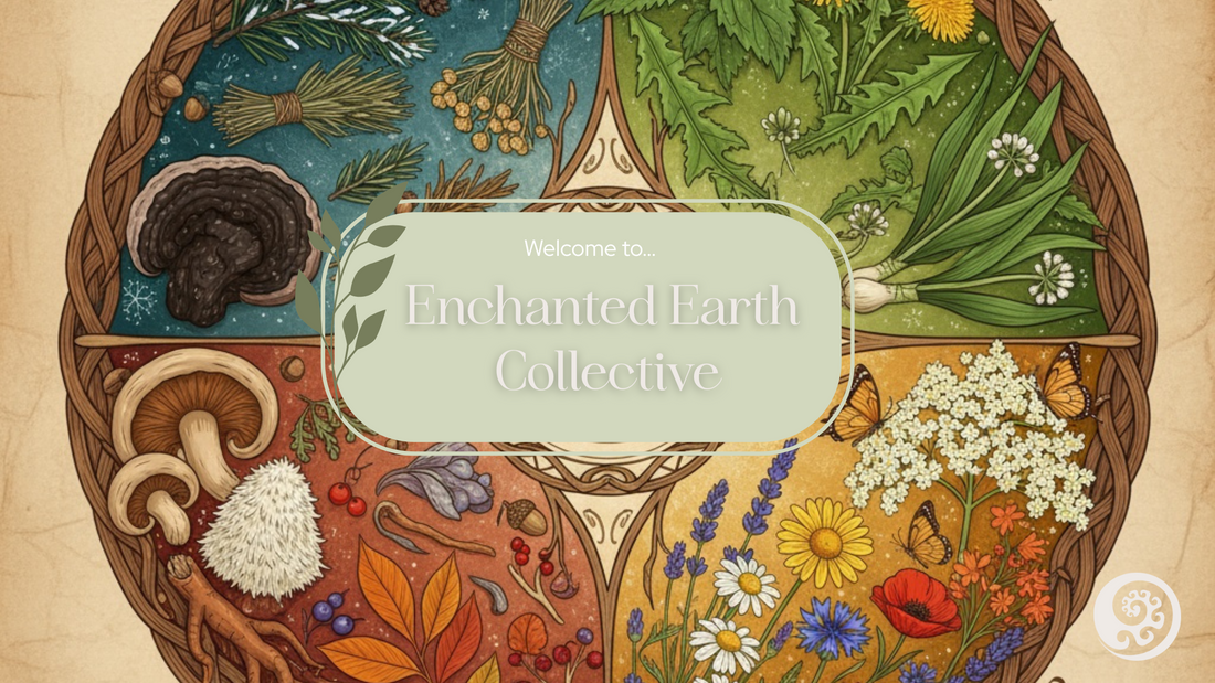 Seasonal Wisdom: Downloadable Guides to Nature's Healing Rhythms