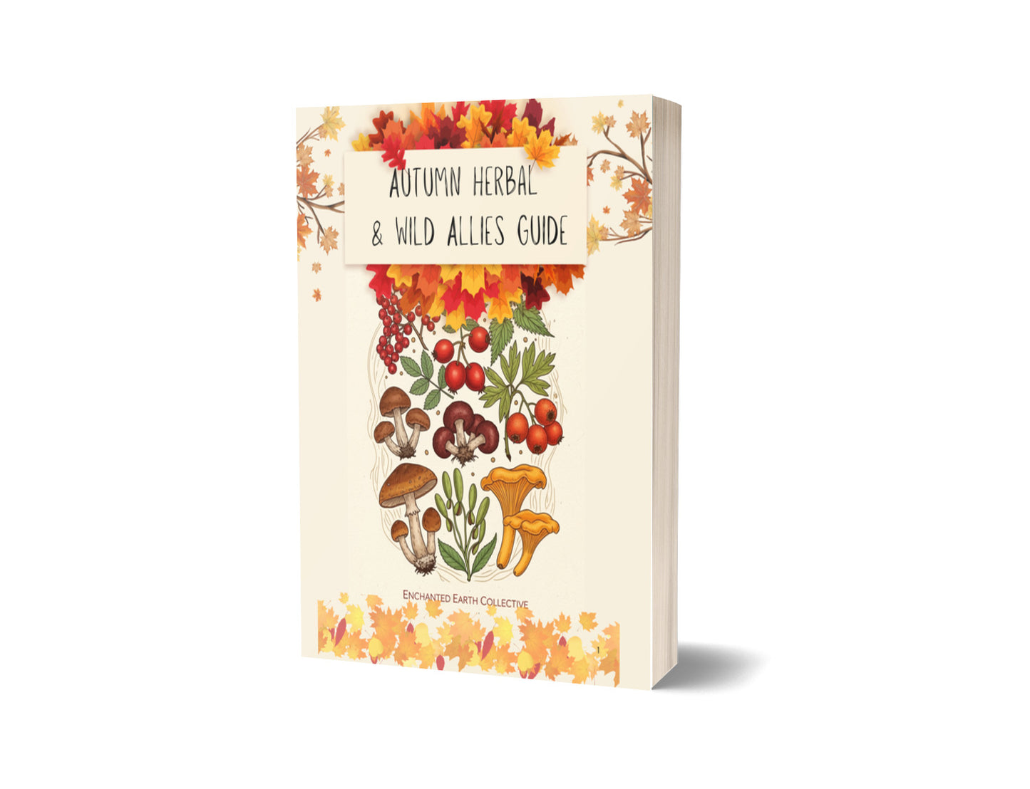 5 Herbal Allies for Autumn